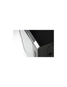 Monolyth SH6309 Armario Mural 9U 600x300x501-ANEAAA0416