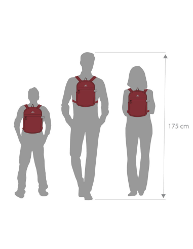 Rivacase Aviva Mini 5422 Mochila para Portátil hasta 10,5" Rojo