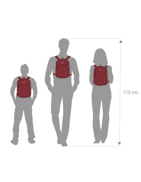 Rivacase Aviva Mini 5422 Mochila para Portátil hasta 10,5" Rojo