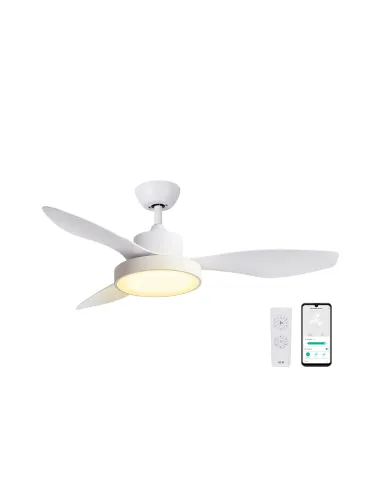 SPC Conforto DC Lite 2