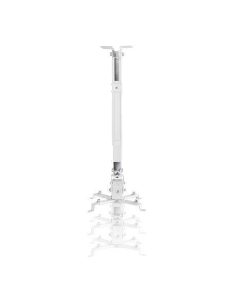 Iggual SPTP01 Soporte de Techo/Pared para Proyectores Inclinable Máx. 20Kg Blanco