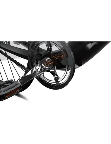 Urtopia Carbon One Bicicleta Eléctrica 250W M Sirius