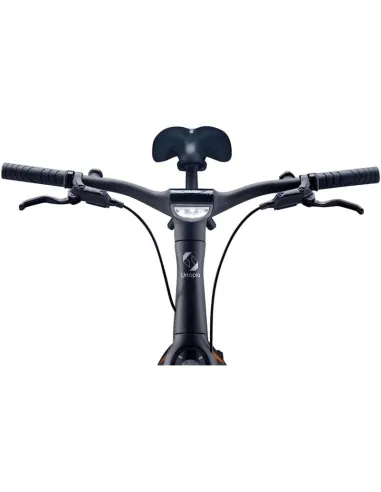 Urtopia Carbon One Bicicleta Eléctrica 250W M Sirius