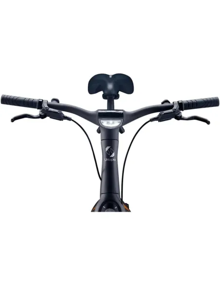 Urtopia Carbon One Bicicleta Eléctrica 250W M Sirius