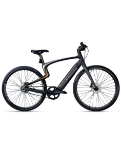 Urtopia Carbon One Bicicleta Eléctrica 250W M Sirius