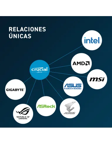 Crucial CT32G52C42U5 DDR5 5200MHz PC5-41600 32GB CL42