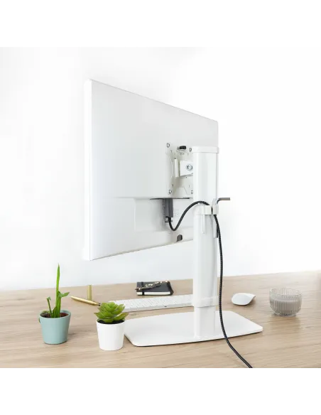 TooQ DB1127TN-W Soporte de Mesa 17-27" Máx. 6Kg Blanco