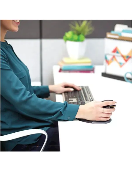 Fellowes P9894701 Penguin Raton Inalambrico Ergonomico Vertical Ambidiestro