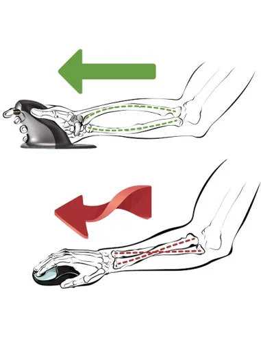 Fellowes P9894701 Penguin Raton Inalambrico Ergonomico Vertical Ambidiestro