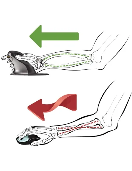 Fellowes P9894701 Penguin Raton Inalambrico Ergonomico Vertical Ambidiestro