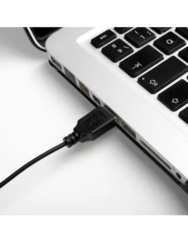 NGS EASYBETTA Ratón Óptico USB 1000 DPI Negro