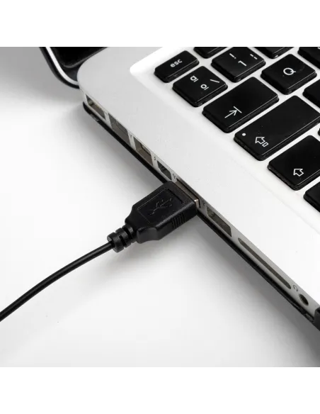 NGS EASYBETTA Ratón Óptico USB 1000 DPI Negro