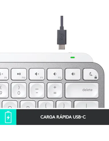 Logitech 920-010523 MX Keys Mini Teclado Bluetooth para Mac