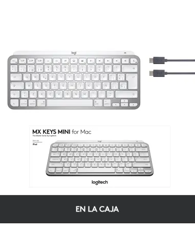 Logitech 920-010523 MX Keys Mini Teclado Bluetooth para Mac