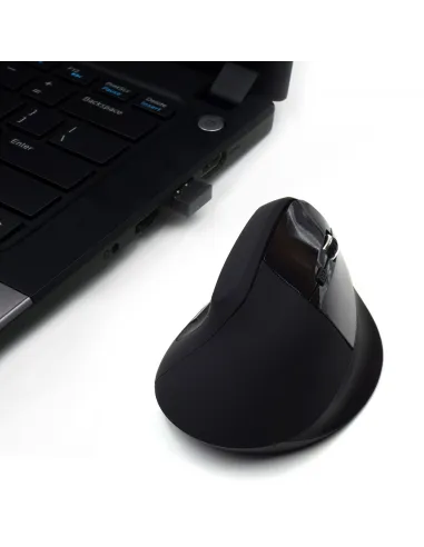 Ewent EW3158 Ratón Ergonómico Inalámbrico 1600 DPI Negro