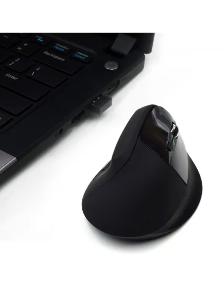 Ewent EW3158 Ratón Ergonómico Inalámbrico 1600 DPI Negro