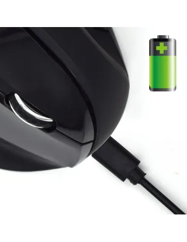 Ewent EW3158 Ratón Ergonómico Inalámbrico 1600 DPI Negro