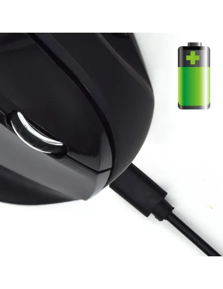 Ewent EW3158 Ratón Ergonómico Inalámbrico 1600 DPI Negro