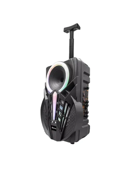 Denver TSP-301 Altavoz Portátil RGB Negro
