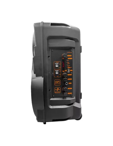 Denver TSP-301 Altavoz Portátil RGB Negro