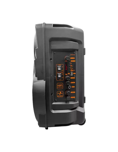 Denver TSP-301 Altavoz Portátil RGB Negro