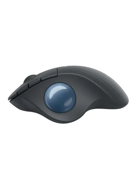 Logitech Ergo M575 Ratón Trackball Inalámbrico 2000DPI Gris