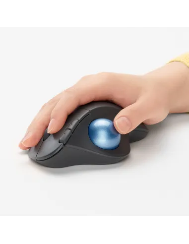 Logitech Ergo M575 Ratón Trackball Inalámbrico 2000DPI Gris