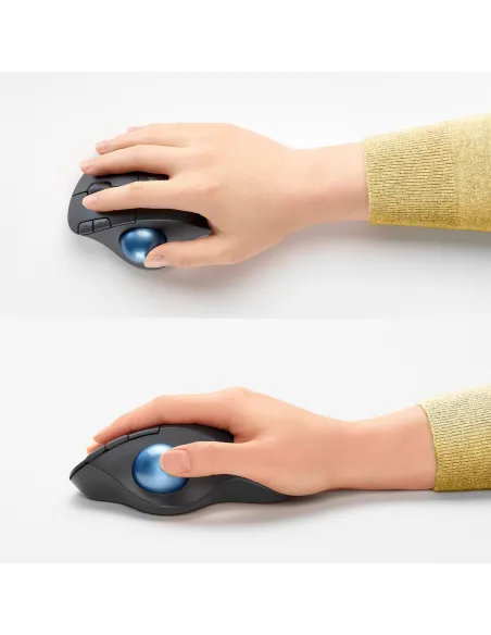 Logitech Ergo M575 Ratón Trackball Inalámbrico 2000DPI Gris