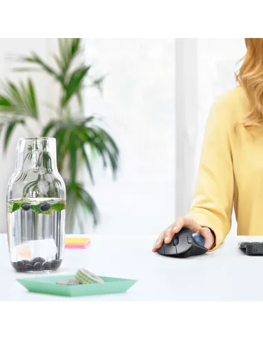 Logitech Ergo M575 Ratón Trackball Inalámbrico 2000DPI Gris