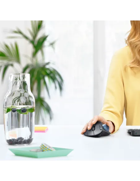 Logitech Ergo M575 Ratón Trackball Inalámbrico 2000DPI Gris