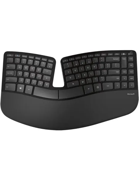 Microsoft L5V-00011 Ratón Ergonómico + Teclado Negro