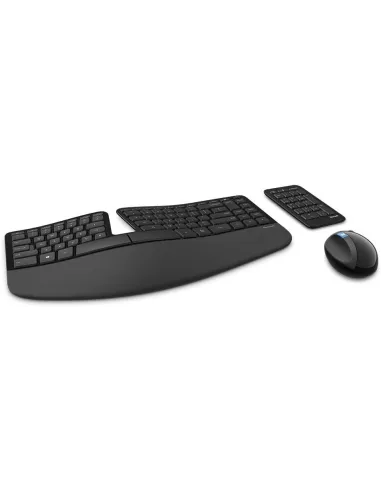 Microsoft L5V-00011 Ratón Ergonómico + Teclado Negro