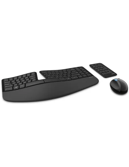 Microsoft L5V-00011 Ratón Ergonómico + Teclado Negro