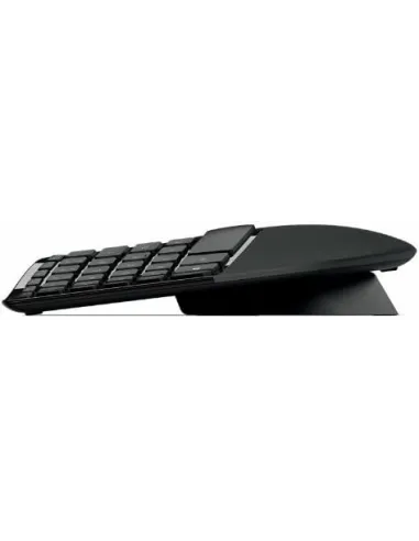 Microsoft L5V-00011 Ratón Ergonómico + Teclado Negro