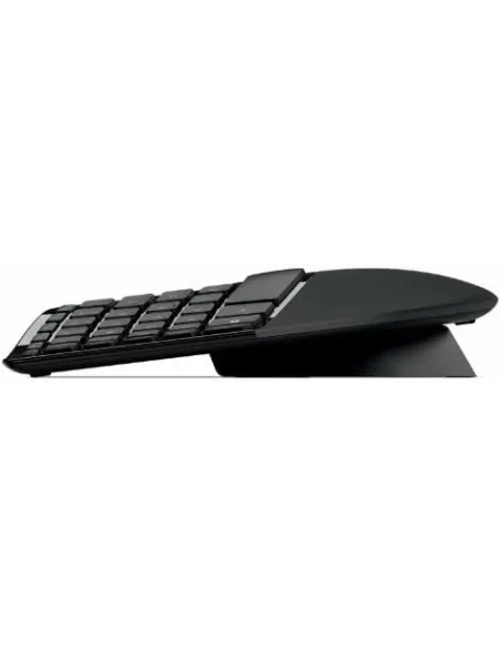 Microsoft L5V-00011 Ratón Ergonómico + Teclado Negro
