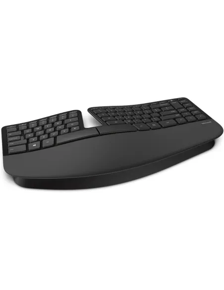 Microsoft L5V-00011 Ratón Ergonómico + Teclado Negro
