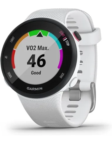 Garmin Forerunner 45+ Reloj de Carrera 42mm Gris