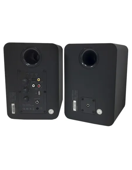 Approx APPSPK02BK Altavoces Pared 30W Negro