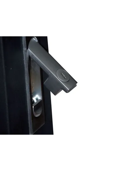 WP WPN-RNA-42608-BS Armario 42U 19" 600x800 (Desmontado)