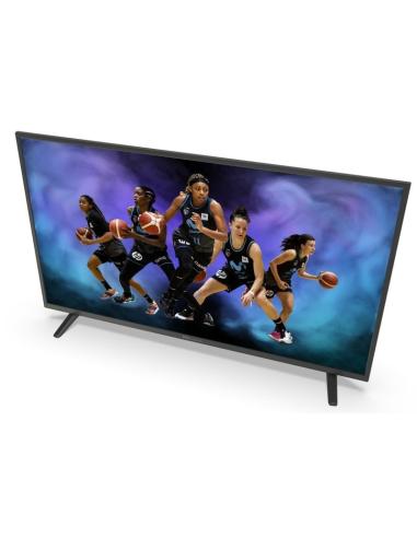 TD Systems K45DLJ12US 45" LED UltraHD 4K