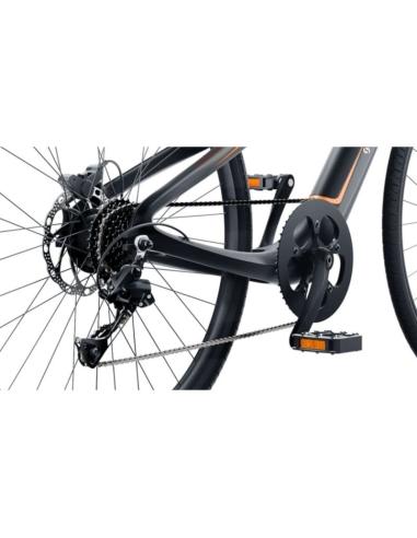 Urtopia Carbon 1s Bicicleta de Montaña Eléctrica Sirius Talla M