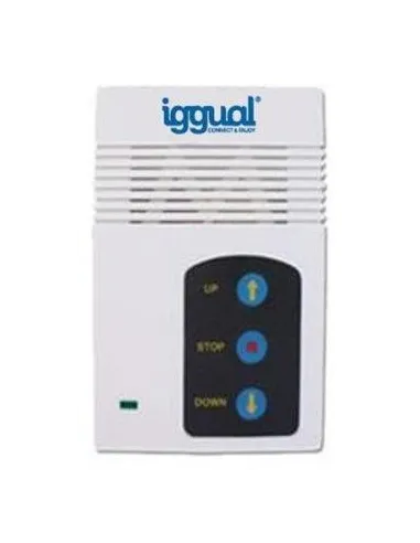 Iggual PSIPS203 Pantalla de Proyección Eléctrica 92"