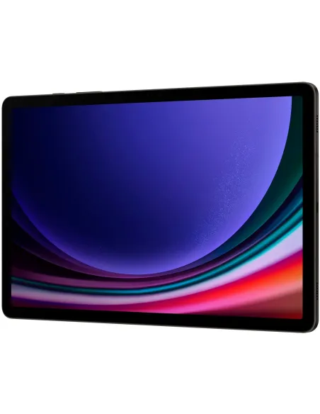 Samsung Galaxy Tab S9 12/256GB LTE Grafito