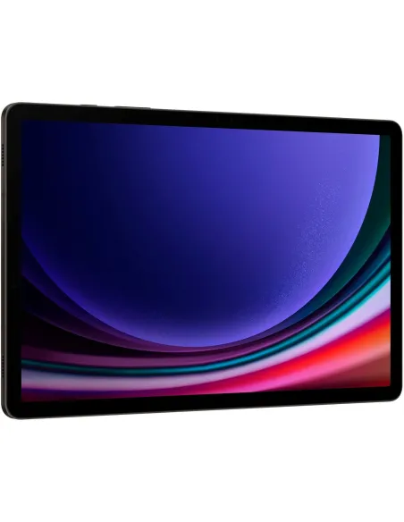 Samsung Galaxy Tab S9 12/256GB LTE Grafito