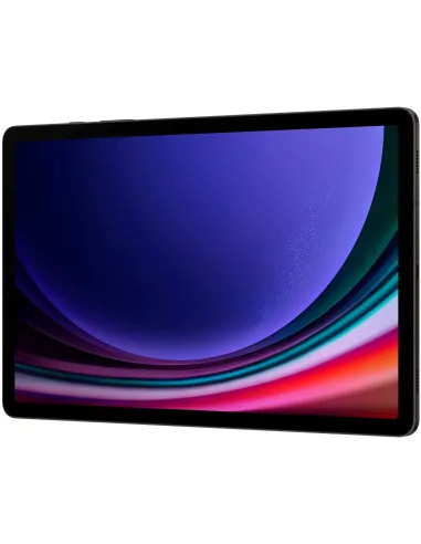 Samsung Galaxy Tab S9 12/256GB WiFi Grafito