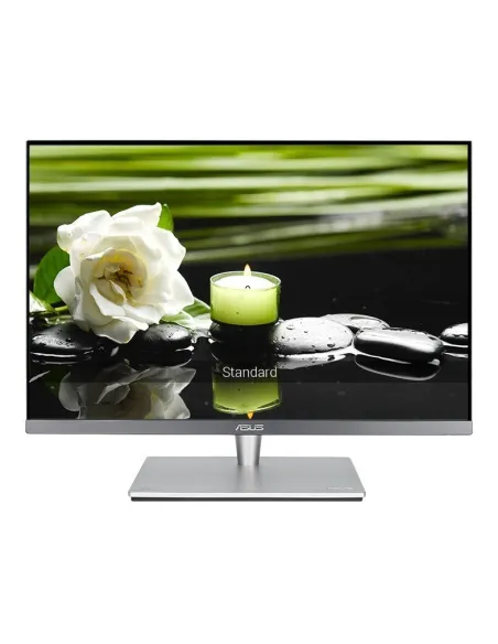 Asus ProArt PA24AC 24.1"LED IPS WUXGA Plata