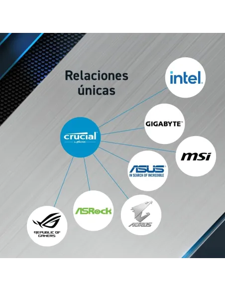 Crucial Pro DDR5 5600MHz 96GB (2x48GB) CL46 Negra