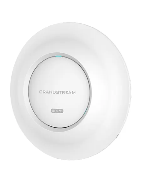 Grandstream GWN7665 Punto de Acceso WiFi 6 PoE+