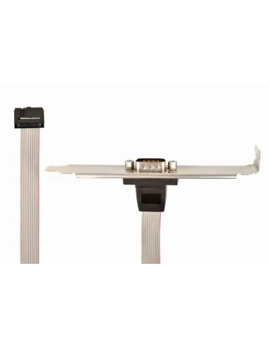 Gembird CCDB9RECEPTACLE Receptor de Puerto Serie DB9 25 cm Gris