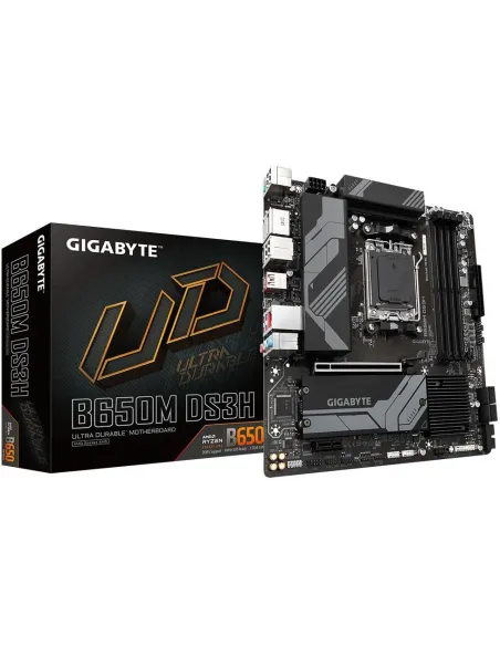 Gigabyte B650M DS3H